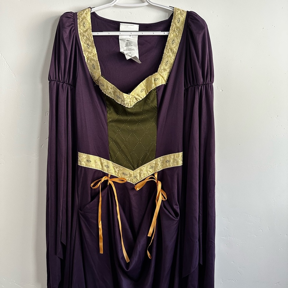 California Costumes Medieval Purple Dress with Gold and Green Detail
